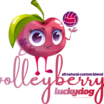 Volleyberry Gift Set(Moisturizing Lotion, Hemp & Honey Lip Butter, Cleansing Bar)